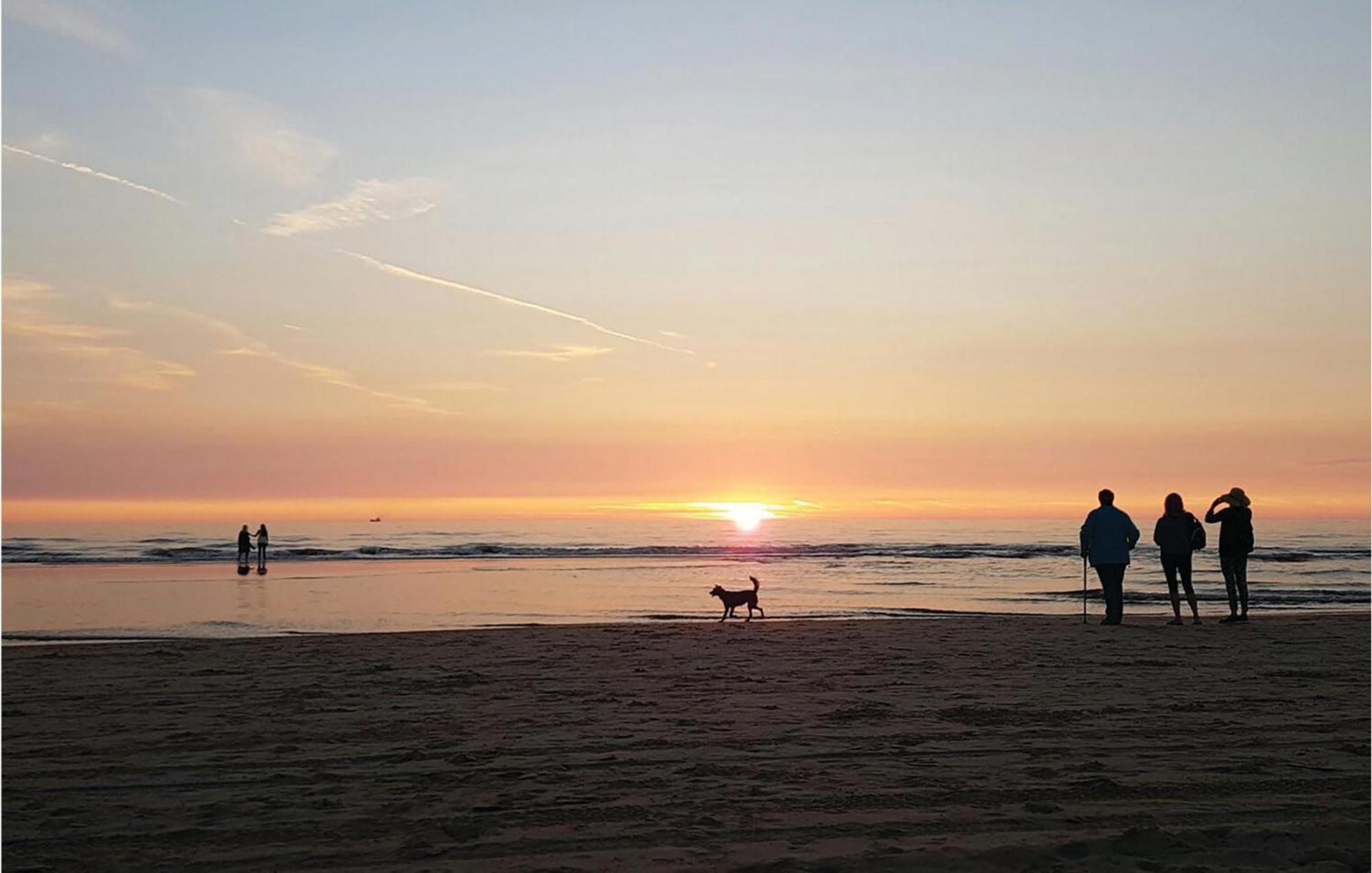 2 Bedroom Pet Friendly Home In Egmond Aan Zee Exteriör bild